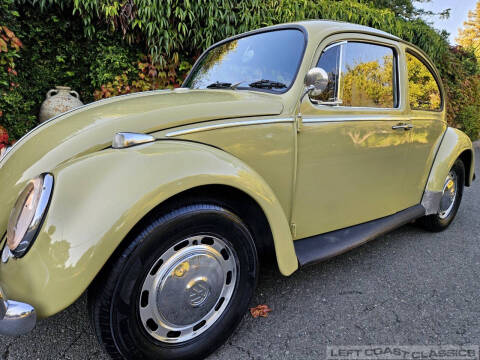 1966 Volkswagen Beetle