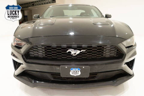 2019 Ford Mustang