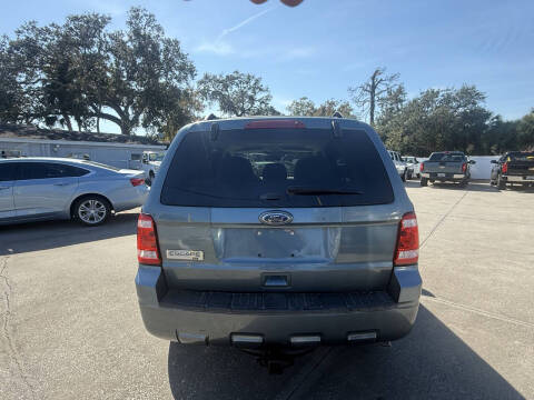2011 Ford Escape XLT