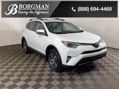 2018 Toyota RAV4 for sale at BORGMAN OF HOLLAND LLC in Holland MI