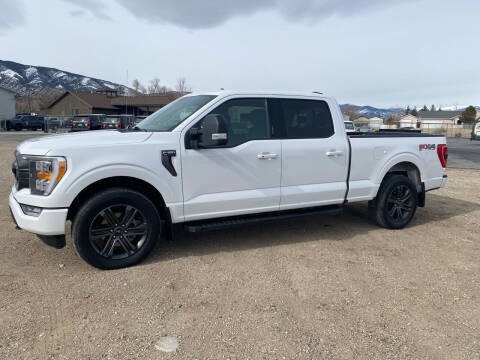 2021 Ford F-150 for sale at Salida Auto Sales in Salida CO