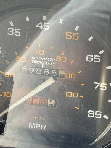 1981 Chevrolet Corvette