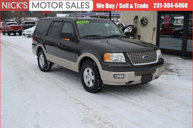 2005 Ford Expedition for sale at Nick's Motor Sales in Kalkaska MI