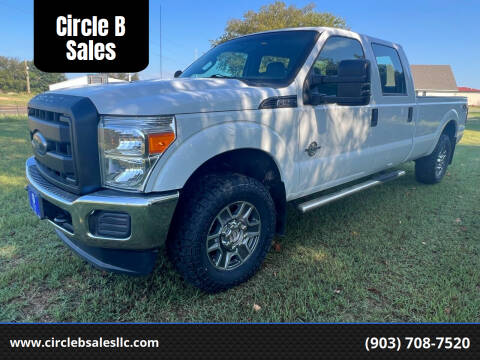 2015 Ford F-250 Super Duty for sale at Circle B Sales in Pittsburg TX