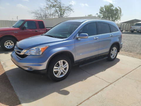 2011 Honda CR-V for sale at Barrera Auto Sales in Deming NM