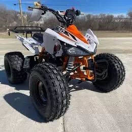 2025 TAO CHEETAH G125