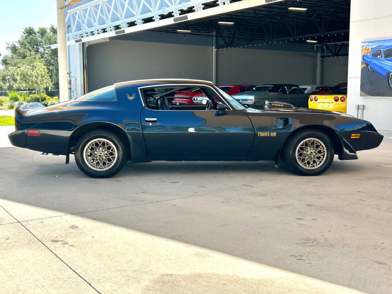 1981 Pontiac Firebird 4