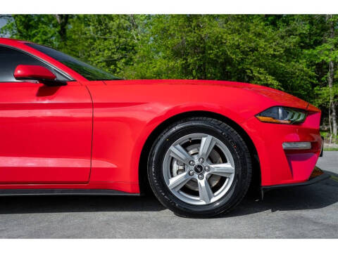 2019 Ford Mustang EcoBoost