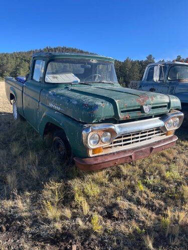 1959 Ford F-100