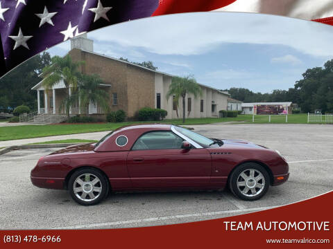 2004 Ford Thunderbird for sale at TEAM AUTOMOTIVE in Valrico FL