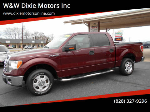 2010 Ford F-150 for sale at W&W Dixie Motors Inc in Hickory NC