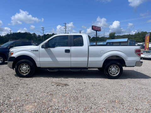 2010 Ford F-150 for sale at A&P Auto Sales in Van Buren AR