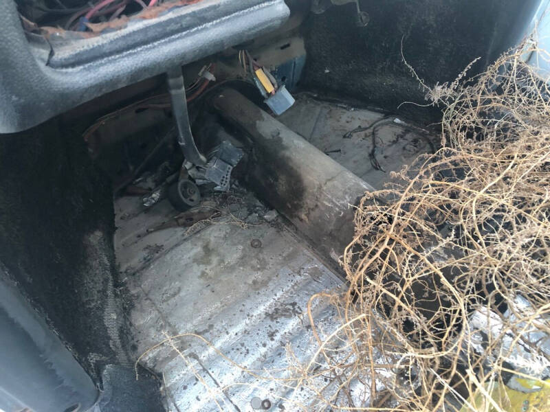 1967 Volkswagen Beetle