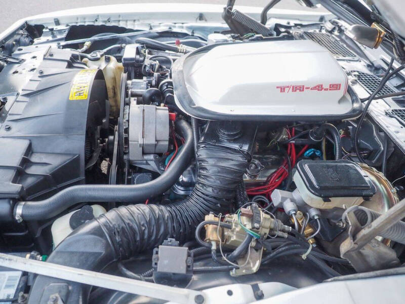 1981 Pontiac Firebird Trans Am