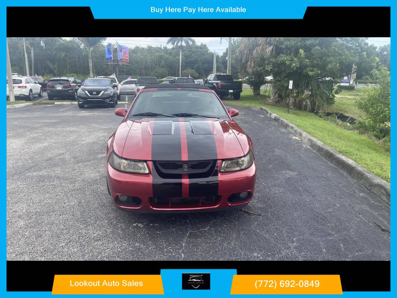 2003 Ford Mustang SVT Cobra for sale at Lookout Auto Sales in Stuart, FL