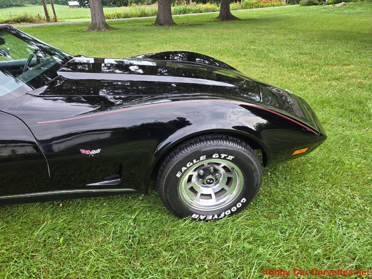 1979 Chevrolet Corvette 21