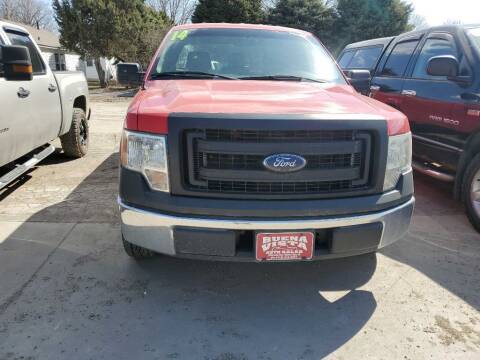 2014 Ford F-150 for sale at Buena Vista Auto Sales in Storm Lake IA