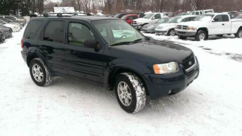 2004 Ford Escape for sale at All State Auto Sales, INC in Kentwood MI