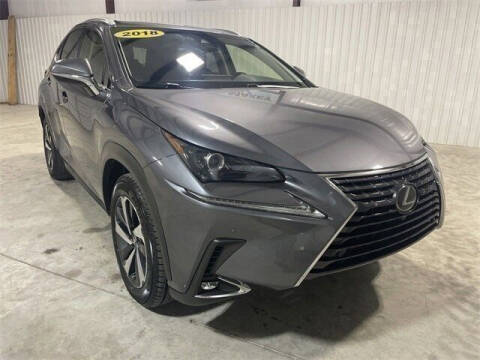 2018 Lexus NX 300 for sale at Clay Maxey Ford of Harrison in Harrison AR
