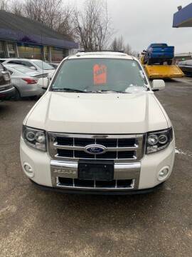 2012 Ford Escape for sale at Auto Site Inc in Ravenna OH
