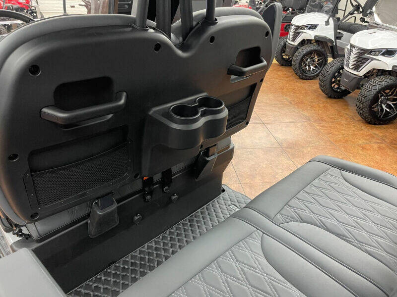 2024 Denago ROVER XL LITHIUM