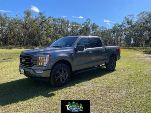 2023 Ford F-150 for sale at TIMBERLAND FORD in Perry FL