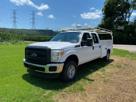 2014 Ford F-250 Super Duty for sale at Tennessee Valley Wholesale Autos LLC in Huntsville AL
