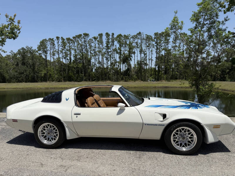 1981 Pontiac Firebird Trans Am