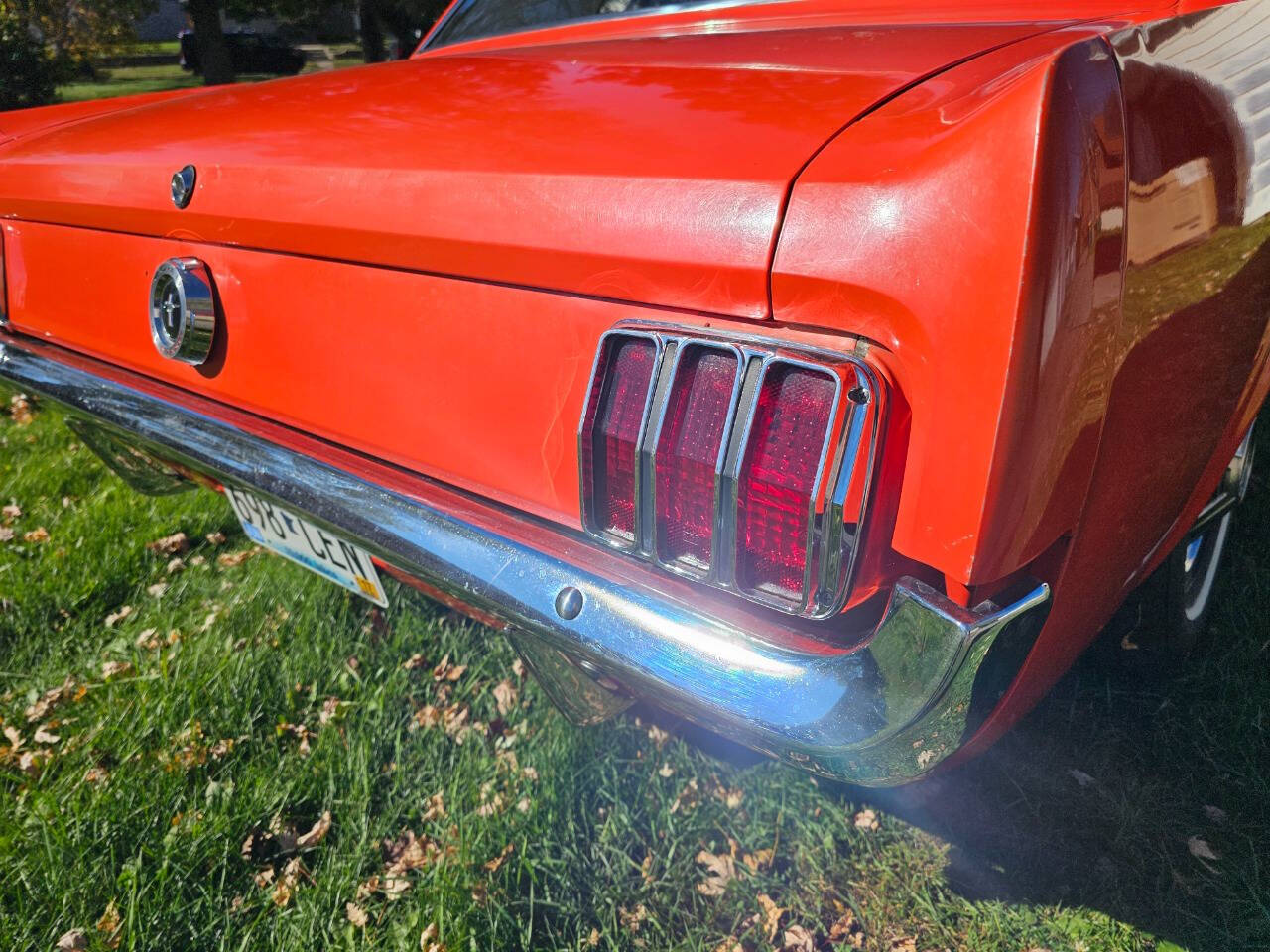 1964 Ford Mustang 84