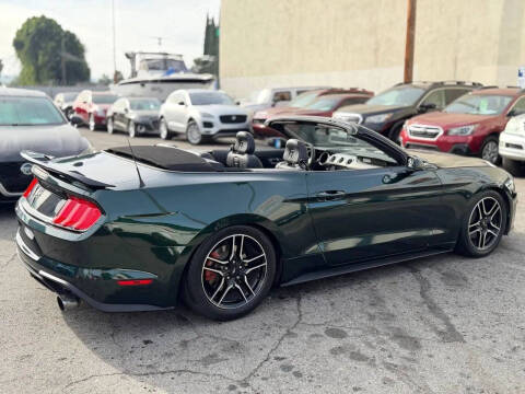 2019 Ford Mustang