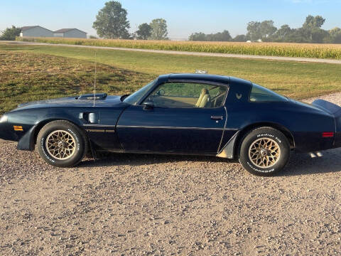 1981 Pontiac Firebird Trans Am