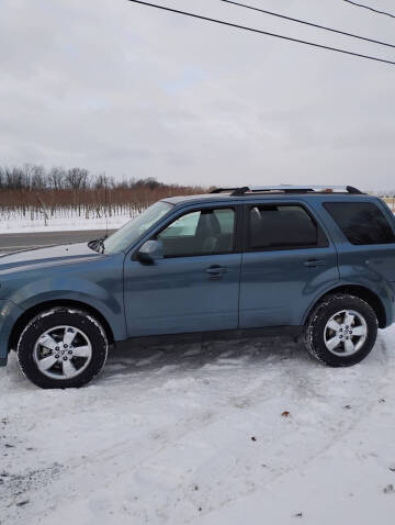 2010 Ford Escape Limited