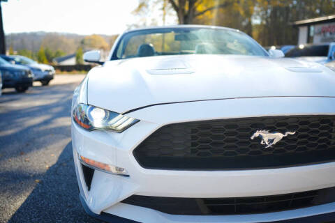 2019 Ford Mustang