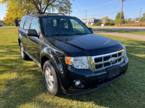 2011 Ford Escape XLT