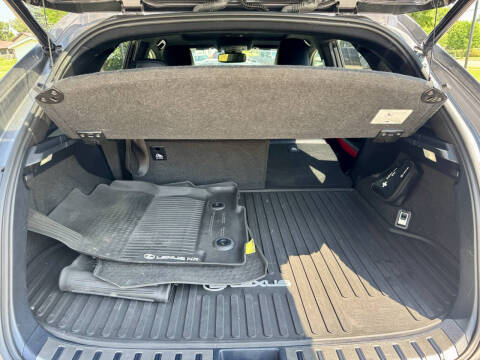 2021 Lexus NX 300 F SPORT