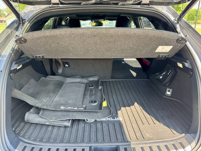 2021 Lexus NX 300 F SPORT