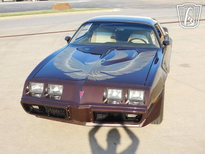 1981 Pontiac Firebird Trans Am