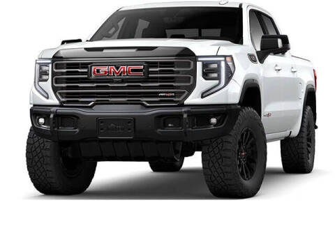 2023 GMC Sierra 1500 for sale at Herman Jenkins Used Cars in Union City TN