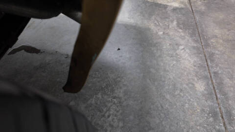 1979 Pontiac Trans Am