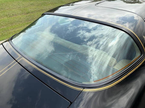 1981 Pontiac Firebird Trans Am