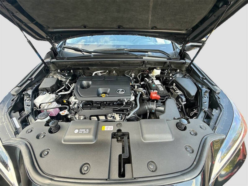 2025 Lexus NX 250 Premium