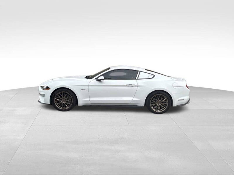 Used 2019 Ford Mustang GT Premium with VIN 1FA6P8CF9K5150592 for sale in Maysville, KY