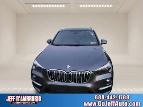 2018 BMW X1 for sale at Jeff D'Ambrosio Auto Group in Downingtown PA