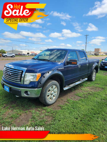 2010 Ford F-150 for sale at Lake Herman Auto Sales in Madison SD