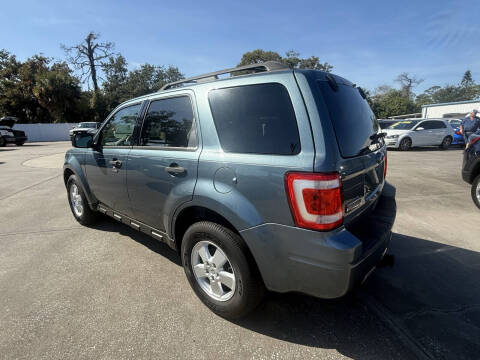 2011 Ford Escape XLT