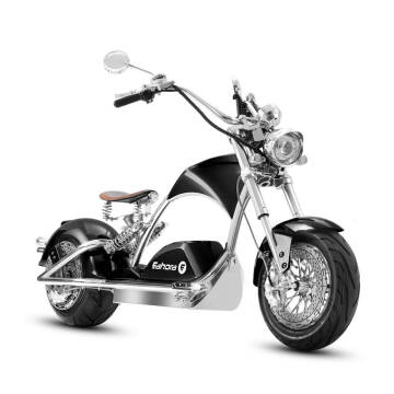2023 EAHORA E MOTORCYCLE M1PS for sale at TEXAS MOTORS POWERSPORT in Orlando FL