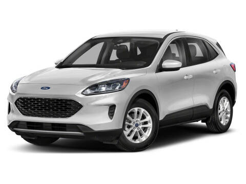 2020 Ford Escape Hybrid for sale at BORGMAN OF HOLLAND LLC in Holland MI