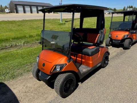 2019 Yamaha GOLF CART