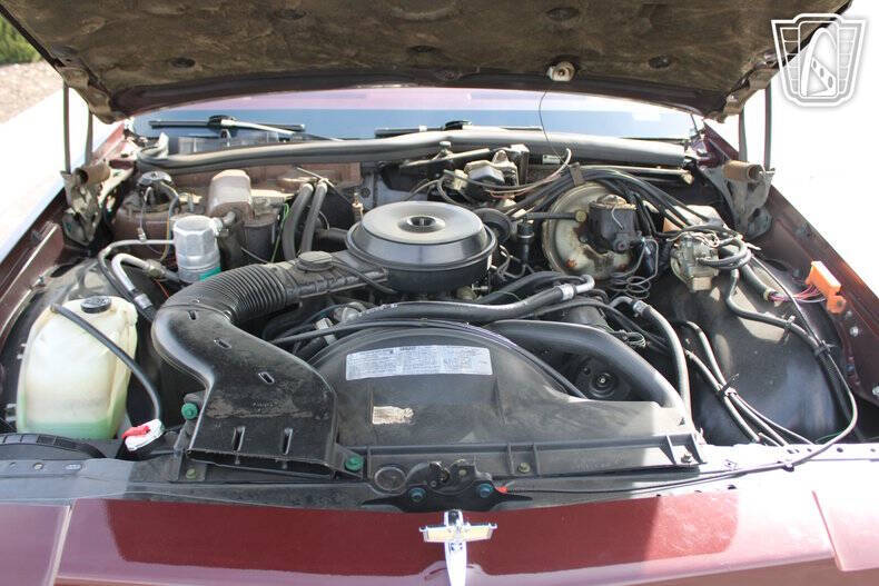 1979 Chevrolet Caprice