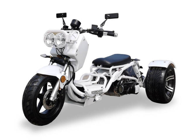 MADDOG TRIKE 3 WHEELER 150CC AUTOMATIC  Image